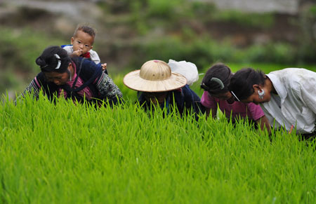 vietnam tour information